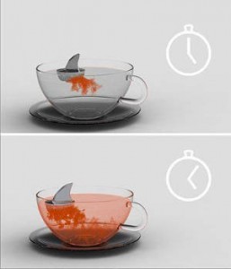 cute fun tea infuser